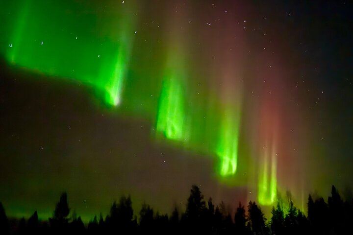Chasse aux aurores à Rovaniemi, avec feu de camp, tarte finlandaise et jus de baies (2/12)