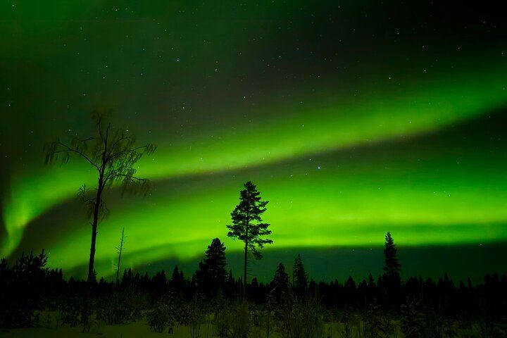 Chasse aux aurores à Rovaniemi, avec feu de camp, tarte finlandaise et jus de baies (5/12)