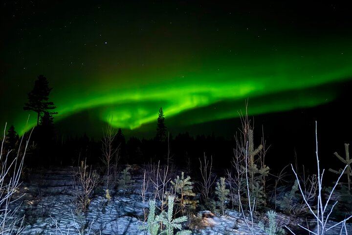 Chasse aux aurores à Rovaniemi, avec feu de camp, tarte finlandaise et jus de baies (3/12)
