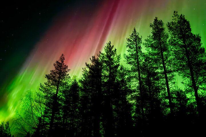 Chasse aux aurores à Rovaniemi, avec feu de camp, tarte finlandaise et jus de baies (9/12)