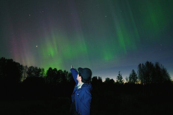 Small Group Northern Lights Photo Hunt with Campfire BBQ, Rovaniemi (3/10)
