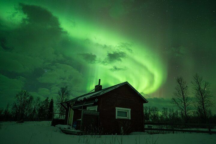 Aurora Photography Hunt from Rovaniemi with Next Day Photo Delivery (2/12)