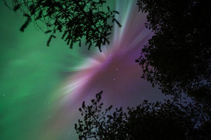 Aurora Photography Hunt from Rovaniemi with Next Day Photo Delivery (9/12)