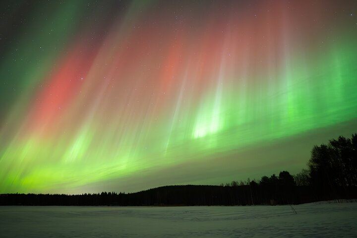 Aurora Photography Hunt from Rovaniemi with Next Day Photo Delivery (7/12)