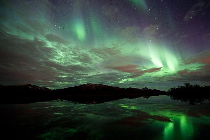 Northern Lights Evening at the Husky Camp near Tromso (4/8)