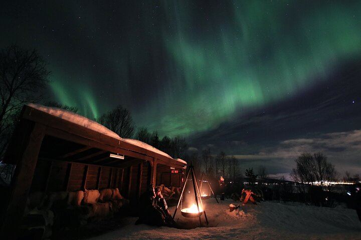 Northern Lights Evening at the Husky Camp near Tromso (5/8)