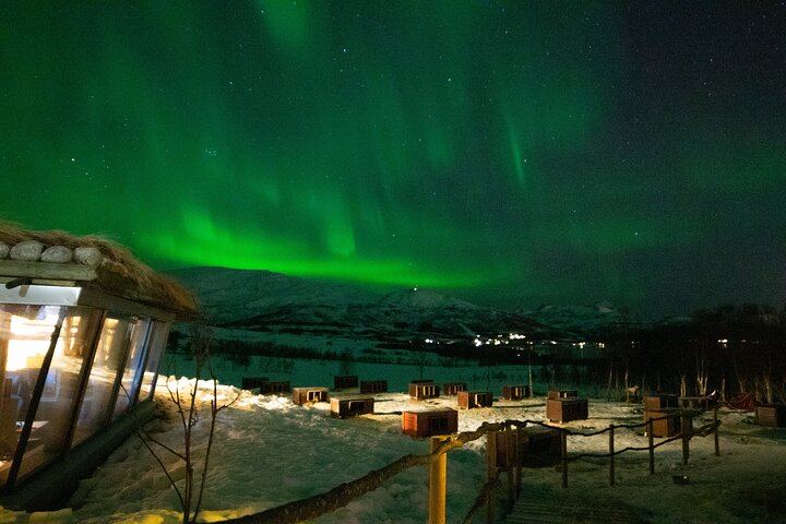 Northern Lights Evening at the Husky Camp near Tromso (6/8)