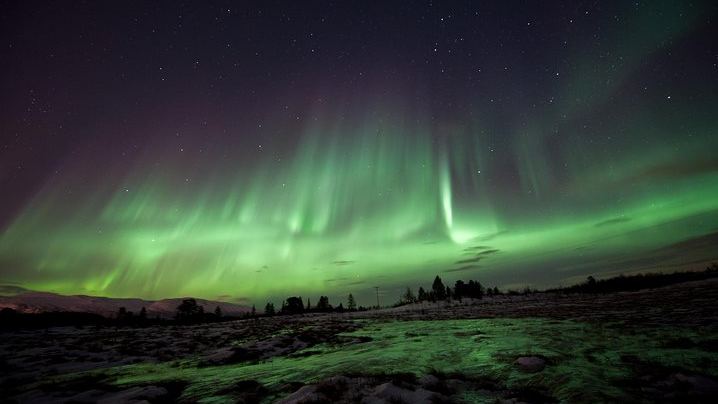 Northern Lights Evening at the Husky Camp near Tromso (2/8)