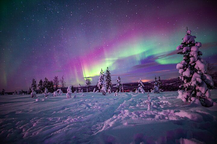 Northern Lights Wilderness Tour from Rovaniemi, Max 8 Guests (5/10)