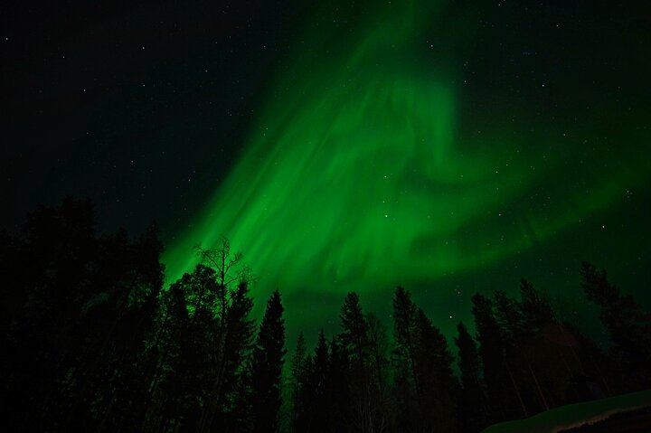 Northern Lights Hunt from a Lappish Cottage in the Forest (8/12)