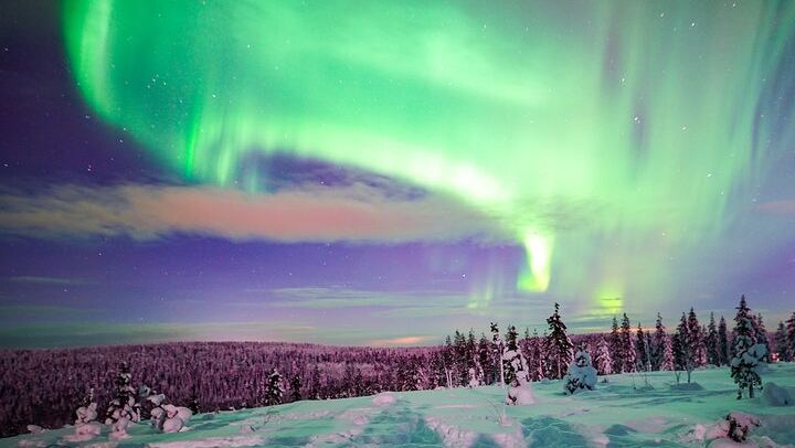 Northern Lights Wilderness Tour from Rovaniemi, Max 8 Guests (4/10)