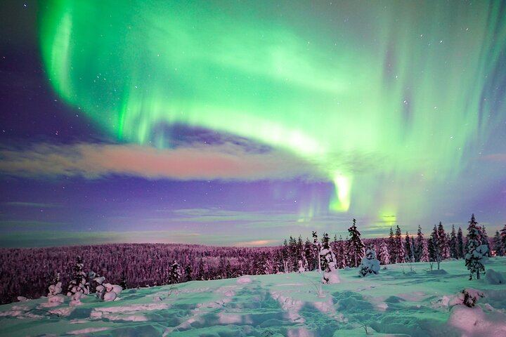 Northern Lights Wilderness Tour from Rovaniemi, Max 8 Guests (4/10)