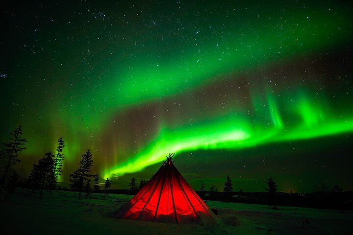 Northern Lights Wilderness Tour from Rovaniemi, Max 8 Guests (6/10)