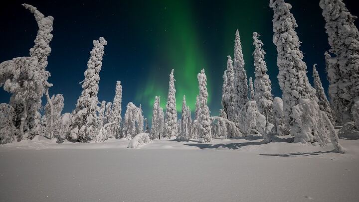 Northern Lights Hunting Expedition in Ranua, Lapland, Max 8 People (2/5)