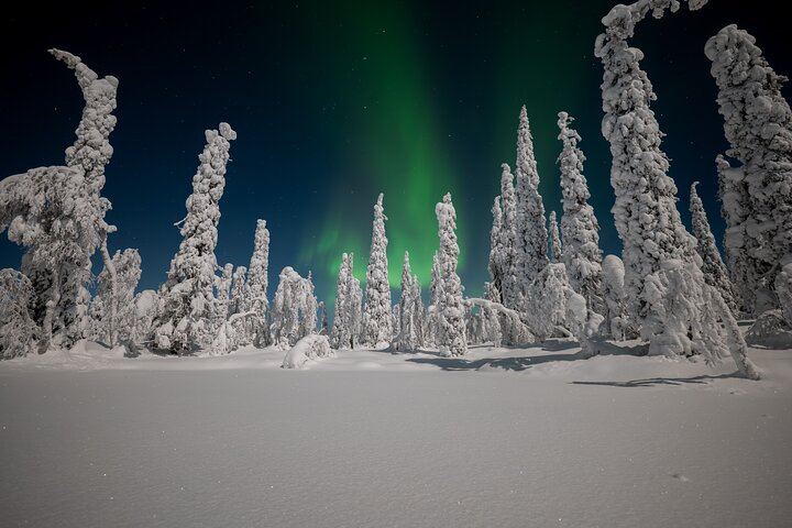 Northern Lights Hunting Expedition in Ranua, Lapland, Max 8 People (2/5)