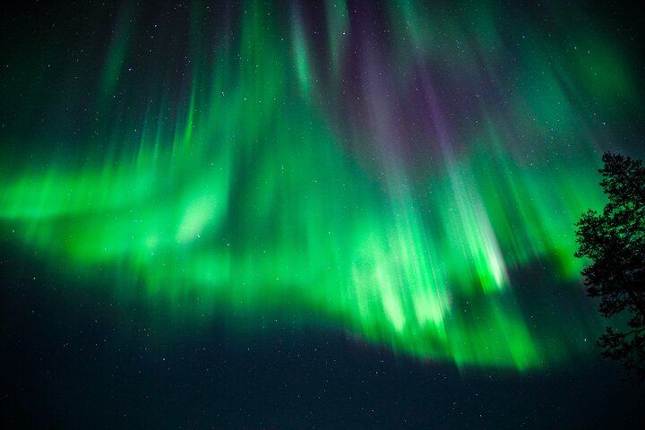 Family Friendly Northern Lights Evening from Rovaniemi, 3 Hours (10/11)