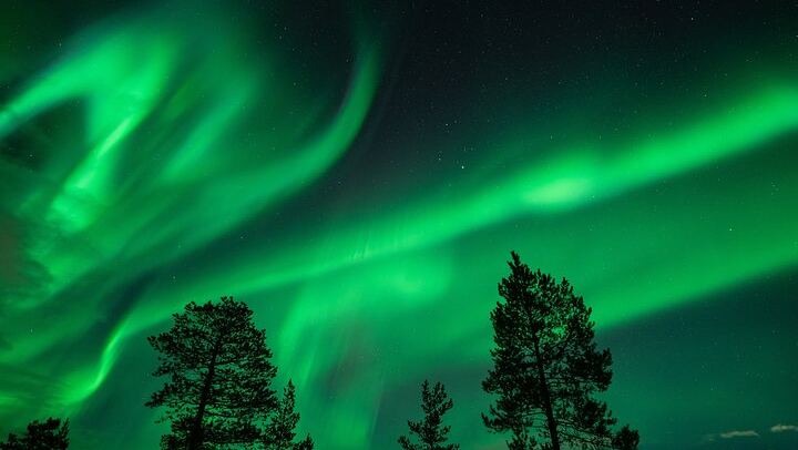 Northern Lights Minibus Chase from Tromso with Chasing Lights (3/11)