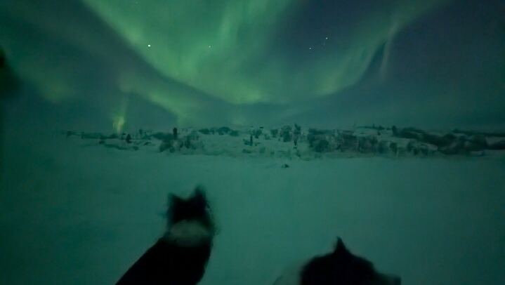 Northern Lights Minibus Chase, Maximum 16 People per Group (2/12)