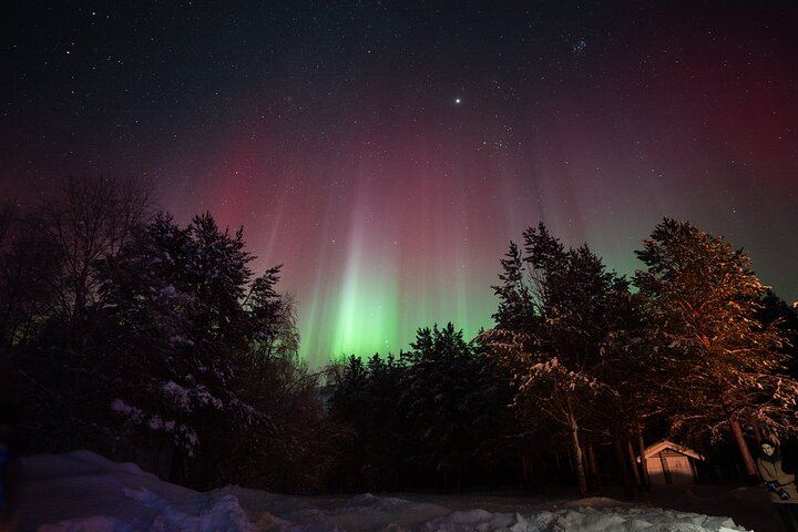 Northern Lights Minibus Chase from Tromso with Chasing Lights (8/11)