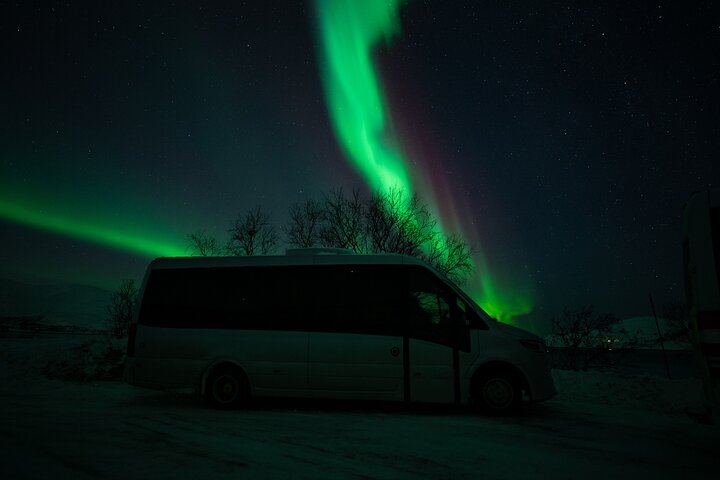 Northern Lights Minibus Chase from Tromso with Chasing Lights (6/11)
