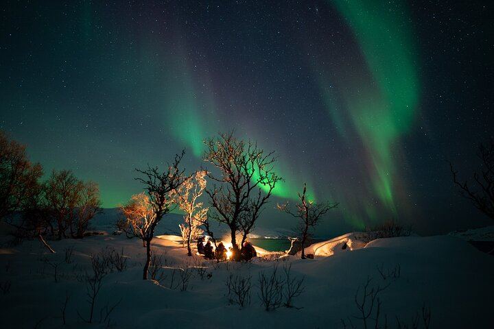 Northern Lights Minibus Chase from Tromso with Chasing Lights (2/11)