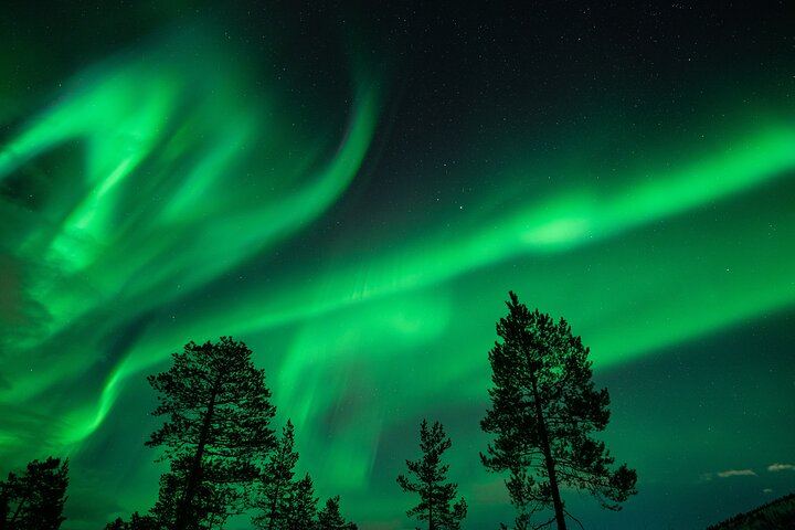 Northern Lights Minibus Chase from Tromso with Chasing Lights (3/11)