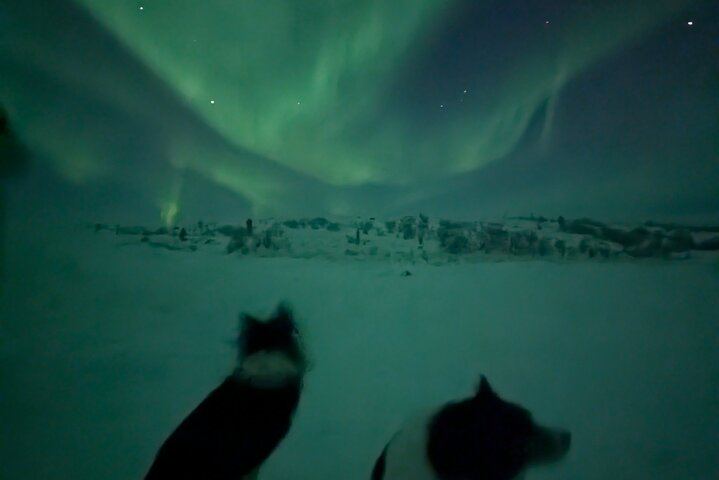 Northern Lights Minibus Chase, Maximum 16 People per Group (2/12)