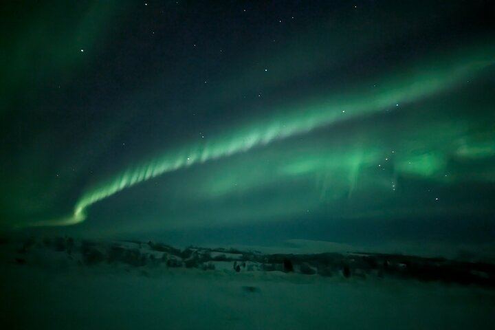Northern Lights Minibus Chase, Maximum 16 People per Group (4/12)
