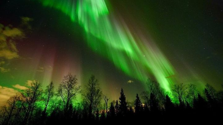 Private Aurora Chase from Rovaniemi: Three Plans, Three Refund Terms