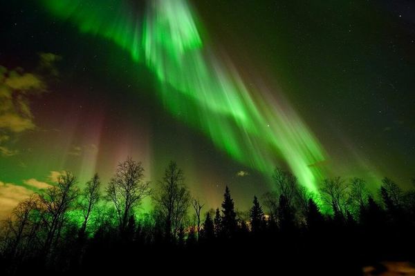 Private Aurora Chase from Rovaniemi: Three Plans, Three Refund Terms