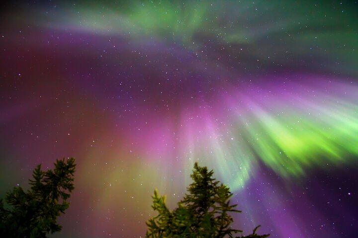 Two Hour Guided Northern Lights Tour from Rovaniemi (3/3)