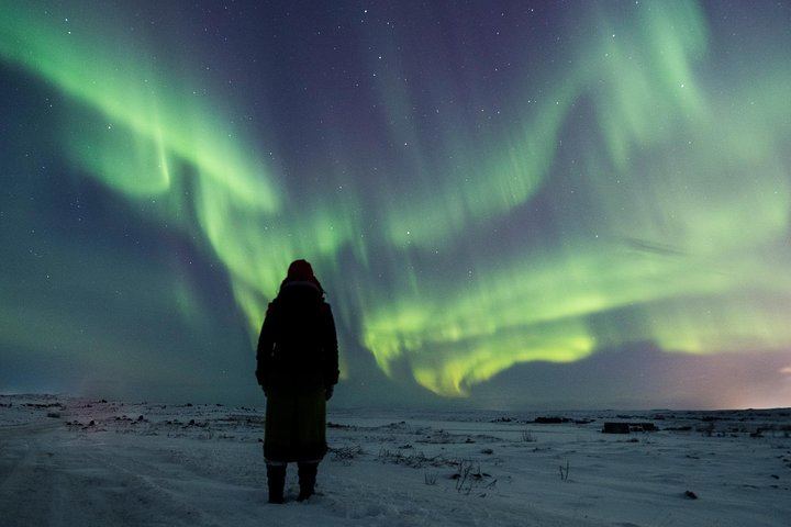 Small Group Northern Lights Tour from Reykjavik with Free Photos (2/9)