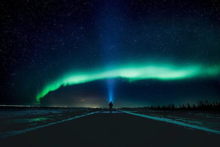 Small Group Northern Lights Tour with Free Photos and Hot Chocolate (1/7)