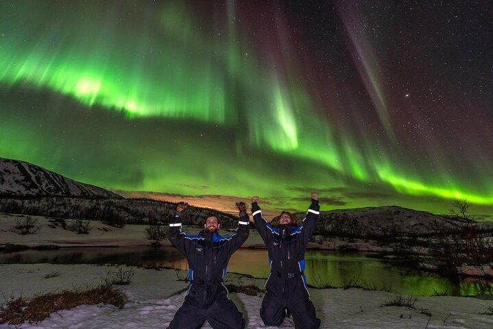 Northern Lights Big Bus Chase from Tromso with Free Photos (4/12)