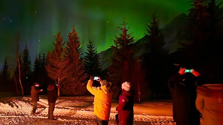 Chasse aux aurores en minibus à Tromsø, avec un guide local et un camp de base privé (1/8)