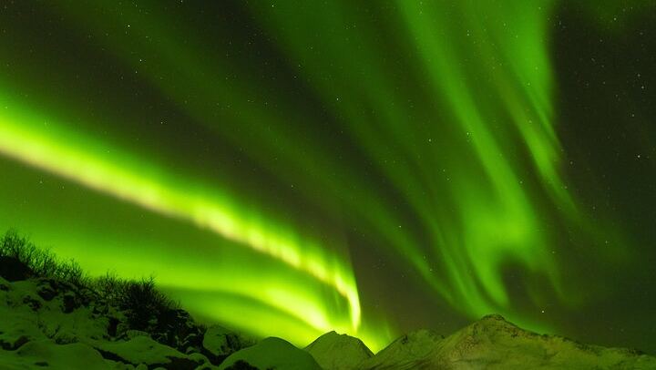 Tromso Northern Lights Minibus Tour with Expert Guides, Max 18 (4/12)