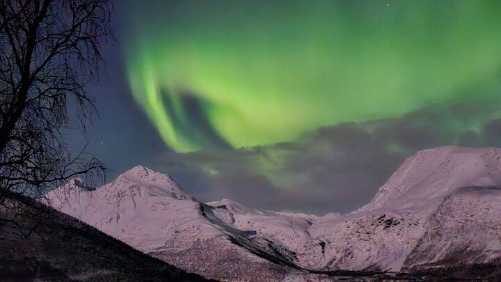 Chasse aux aurores en minibus à Tromsø, avec un guide local et un camp de base privé (3/8)