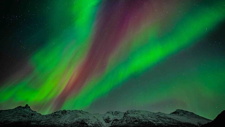 Northern Lights Tour from Kvaloya with Steam Tours (4/12)