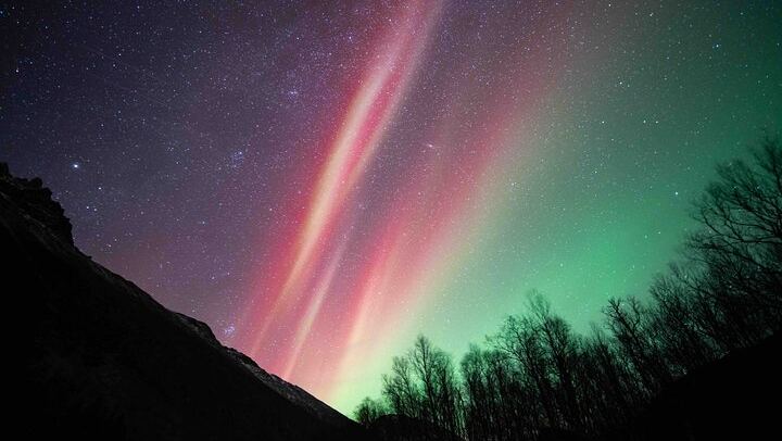 Northern Lights Tour from Kvaloya with Steam Tours (1/12)