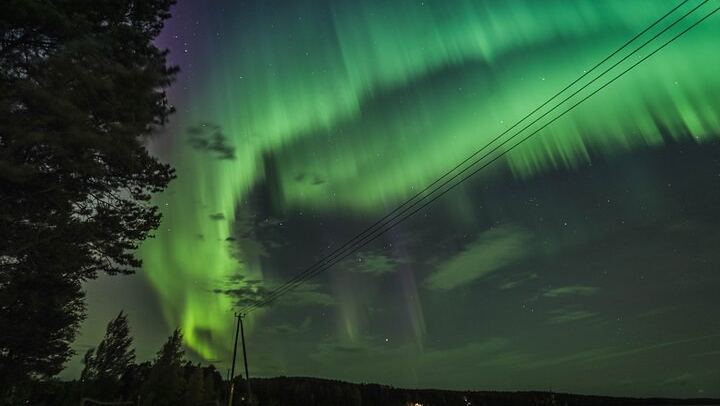 Drei-Stunden-Nordlichttour ab Rovaniemi mit Lagerfeuer und Grillen (1/12)