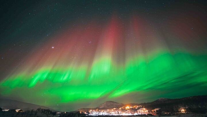 Northern Lights Tour from Kvaloya with Steam Tours