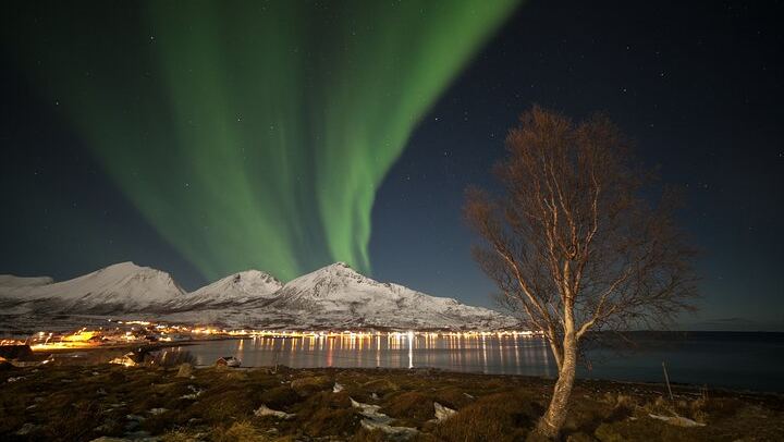 Budget Northern Lights Bus Tour from Tromso (3/6)