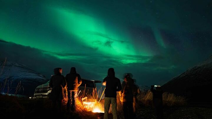 Northern Lights Tour from Kvaloya with Steam Tours (2/12)