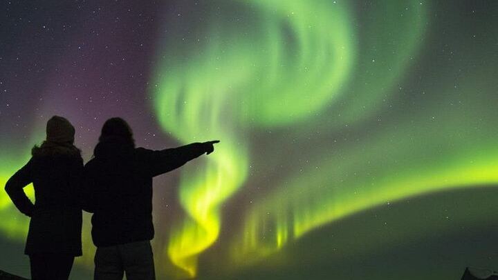 Reykjavík Northern Lights Bus Tour with Hot Chocolate and Dynamic Routing
