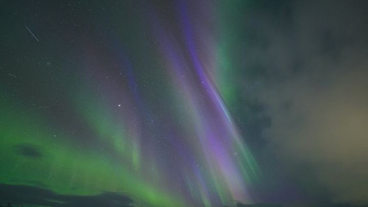 Chasse aux aurores à Tromsø, avec feu de joie, boissons chaudes et photos gratuites (4/12)