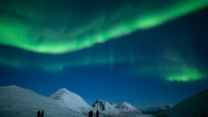 Budget Northern Lights Bus Tour from Tromso