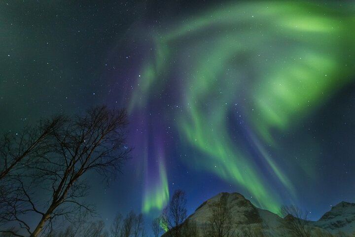Budget Northern Lights Bus Tour from Tromso (1/6)