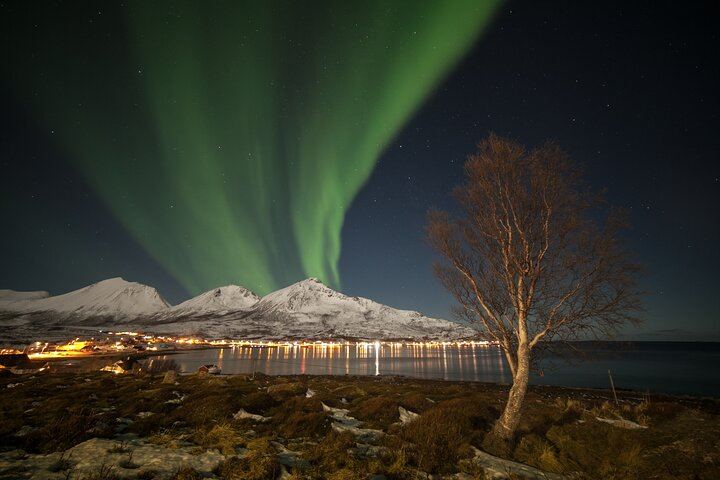 Budget Northern Lights Bus Tour from Tromso (3/6)