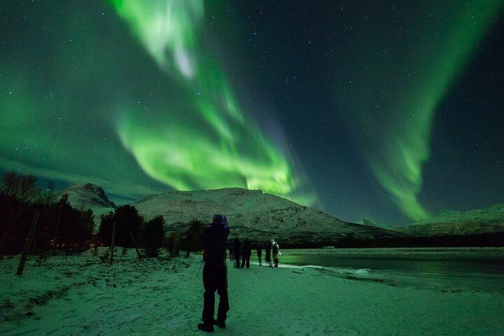 Budget Northern Lights Bus Tour from Tromso (2/6)