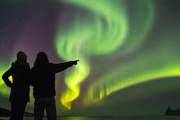 Reykjavík Northern Lights Bus Tour with Hot Chocolate and Dynamic Routing